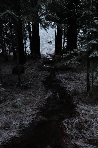 DSC_5834 (Large).JPG